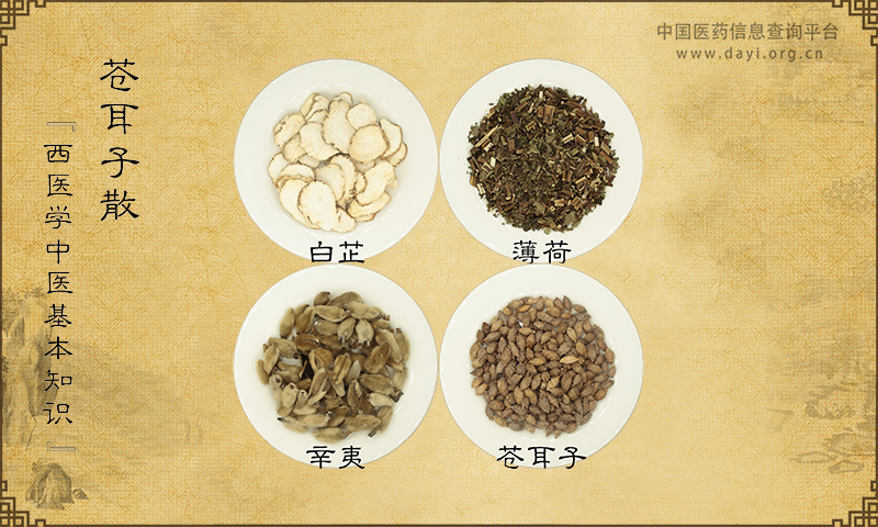 百科封面