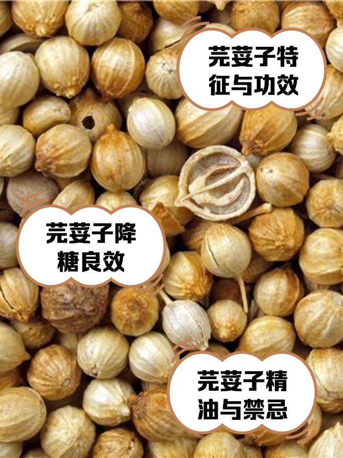百科封面