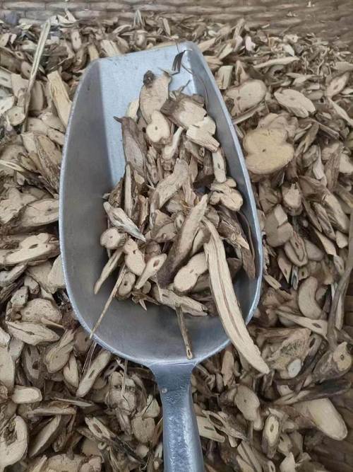 大茶药根百科详情 | 中医百科 - 笔尖中医