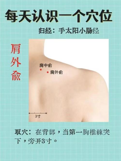 百科封面