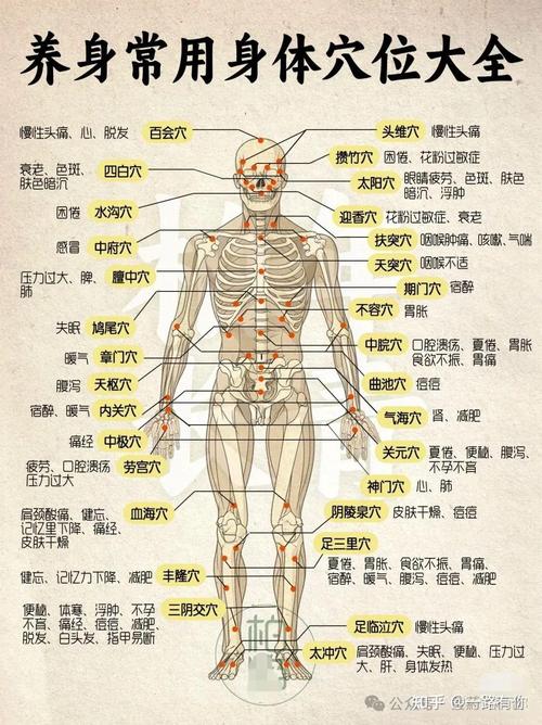 病穴百科详情 | 中医百科 - 笔尖中医