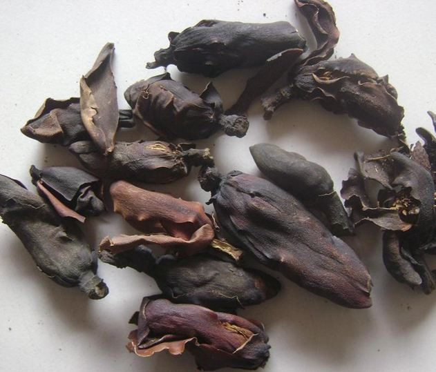 厚朴花 代代花百科详情 | 中医百科 - 笔尖中医
